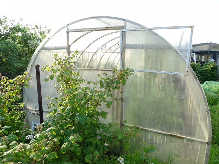 Участок 4,9 сот. (СНТ, ДНП)