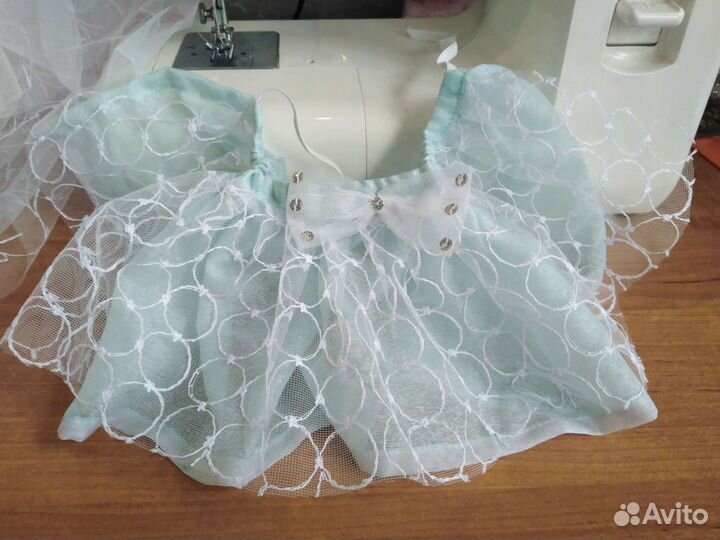 Одежда для животных