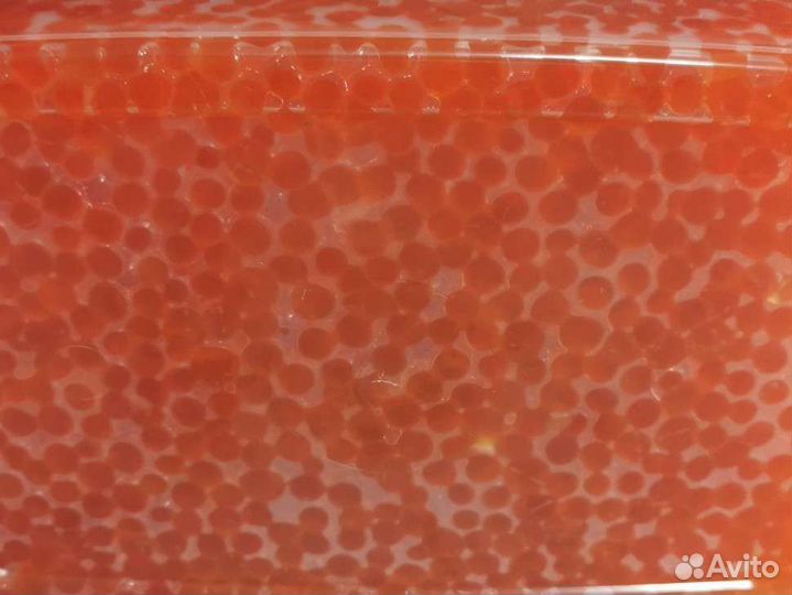 Икра кеты без септика 2023