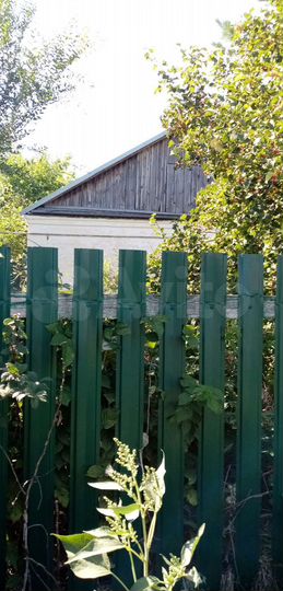 Дом 42,4 м² на участке 50 сот.