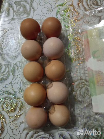 Козье молоко