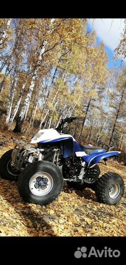 Квадроцикл Irbis atv 250s