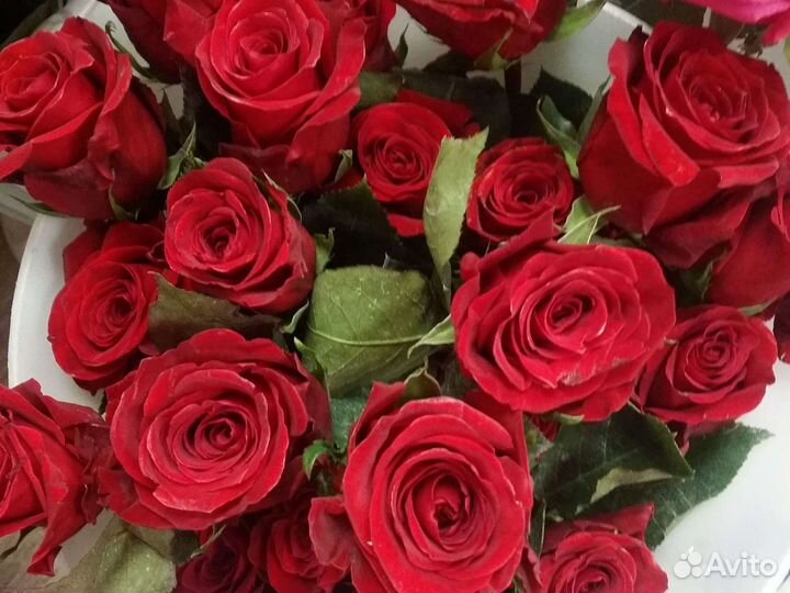 Оформление композиций,букетов под заказ