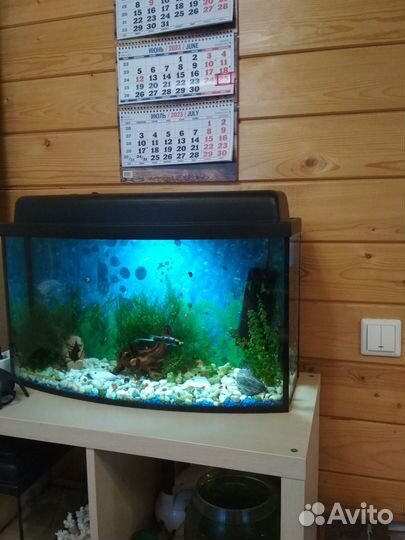 Аквариум 50 литров