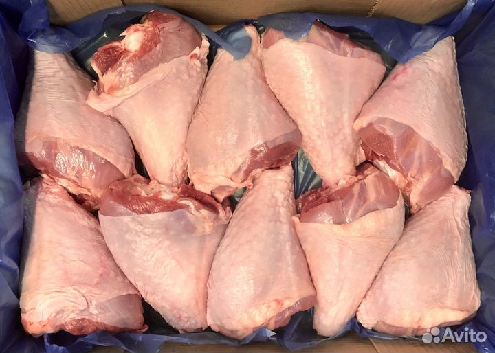 Голень индейки, мясо индейка