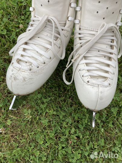 Фигурные коньки edea chorus 230