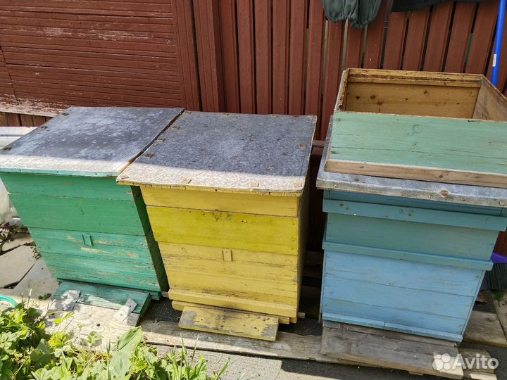 Продам ульи для пчел