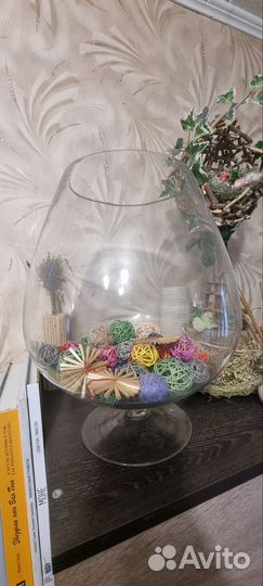 Аквариум рюмка