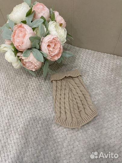 Зимний комбинезон для собаки