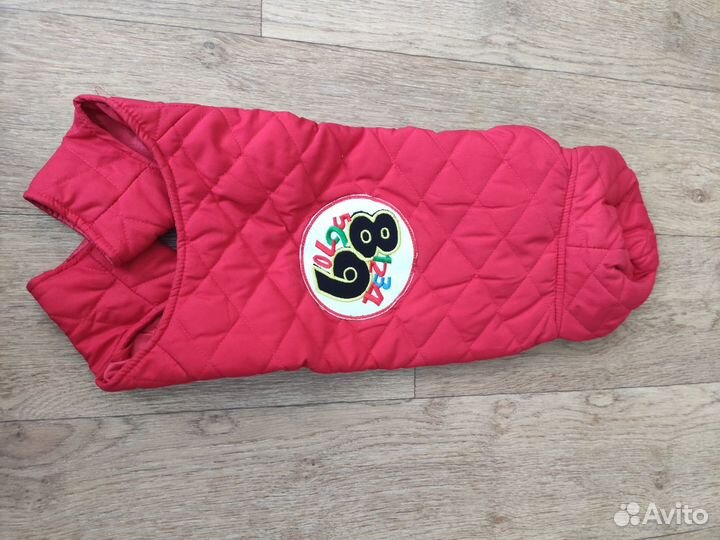 Одежда для животных