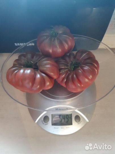 Семена и рассада экзотических сортов томатов