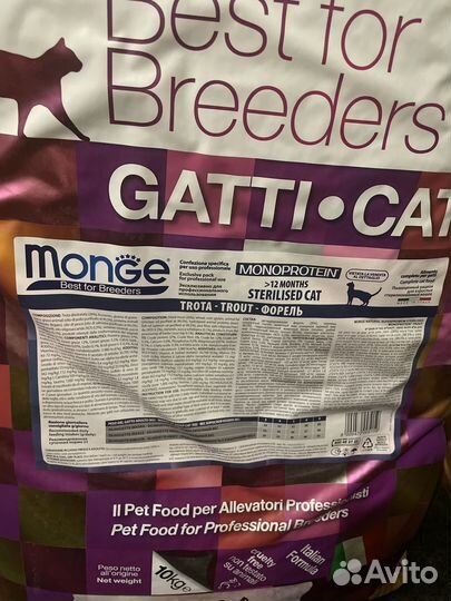 Monge для кошек