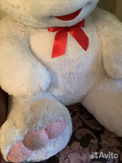 Большой белый медведь