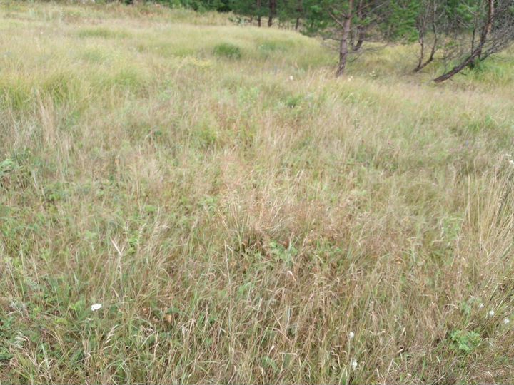 Участок 5,01 га (СНТ, ДНП)