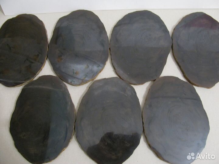 Окаменелое дерево (срез)