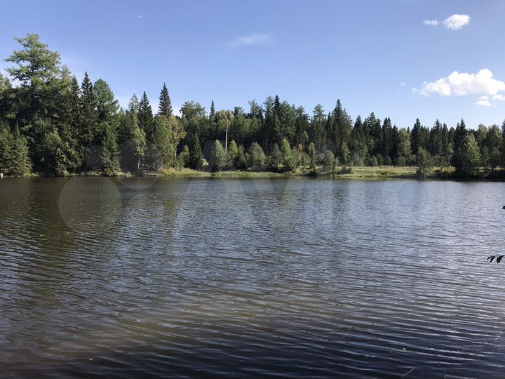 Участок 11,5 сот. (ИЖС)