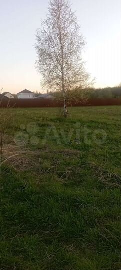 Участок 20 сот. (ИЖС)