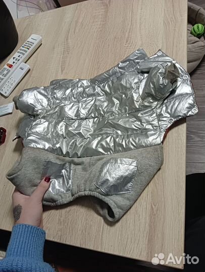 Зимний костюм для собак