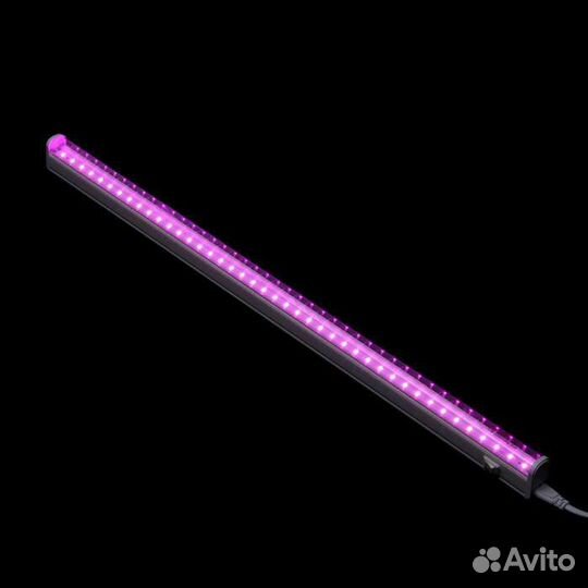 Фитолампа, Фитосветильник для растений