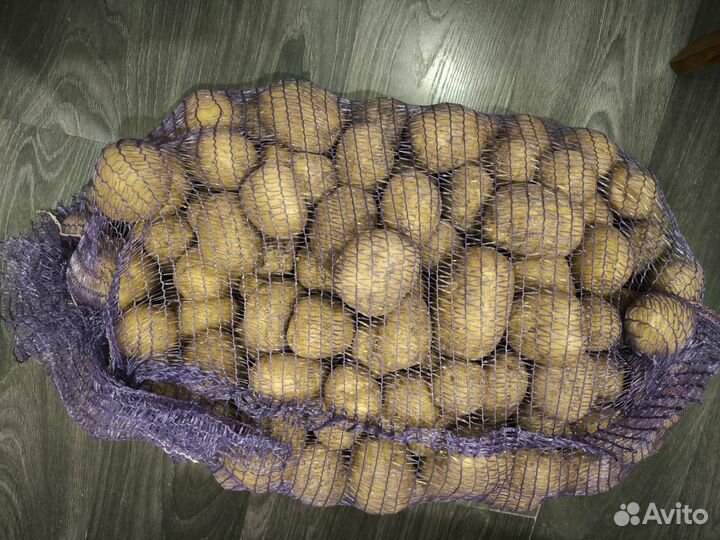 Картошка мешок