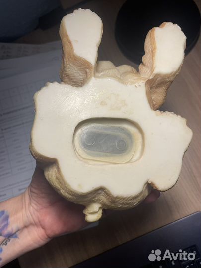 Копилка Собака