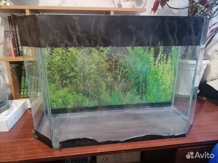 Аквариум