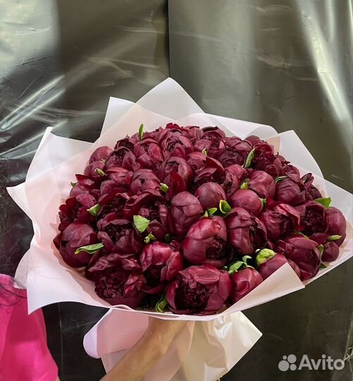 Букеты Пионов Цветы Розы с доставкой