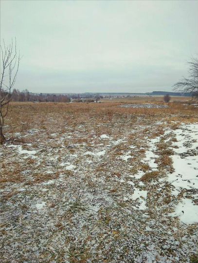 Дом 54,3 м² на участке 50 сот.