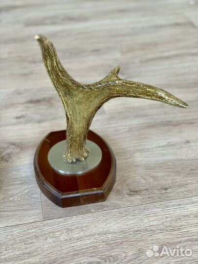 Рога лося лакированные на деревяном медальоне