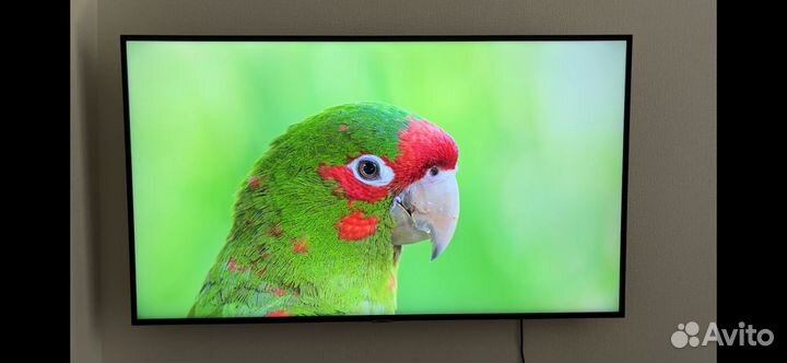 Телевизор Samsung SMART TV UE50NU7097