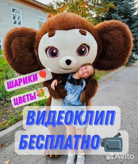 Чебурашка Поздравление. Аниматор на праздник