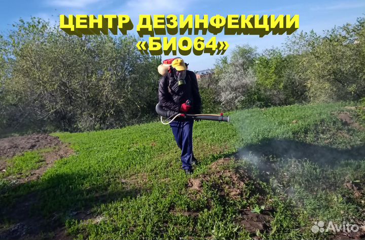 Уничтожение клопов тараканов блох средство Солфак