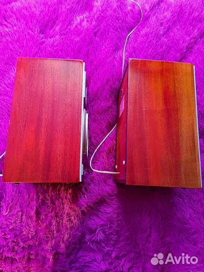 Советские колонки 10ас- 225