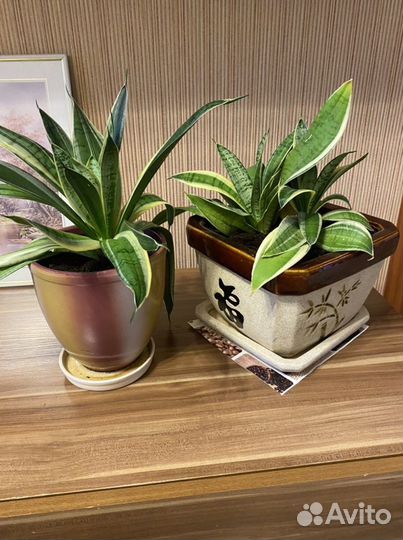 Предметы для декора