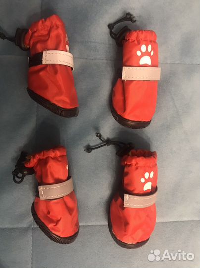Обувь для собак