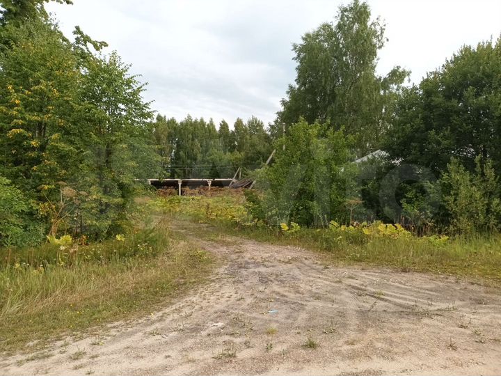 Участок 62 сот. (ИЖС)