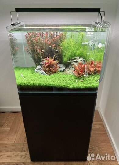 Готовый аквариум Dennerle 70 литров с тумбой