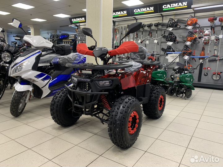 Квадроцикл Wels Thunder E2 X