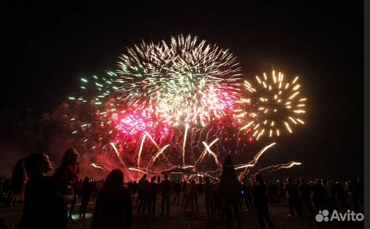 Пиротехническое шоу, профессиональный салют