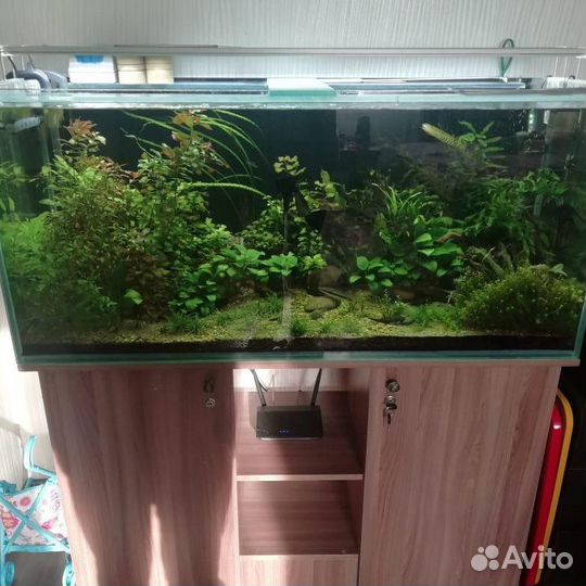 Аквариум