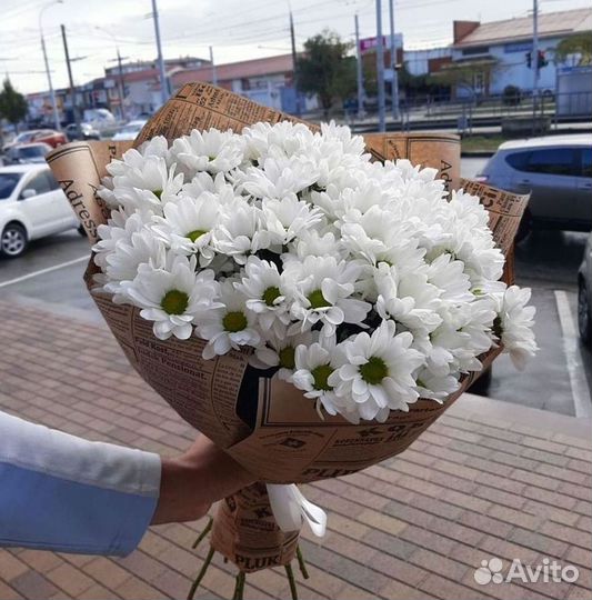 Хризантема Доставка цветов Букеты