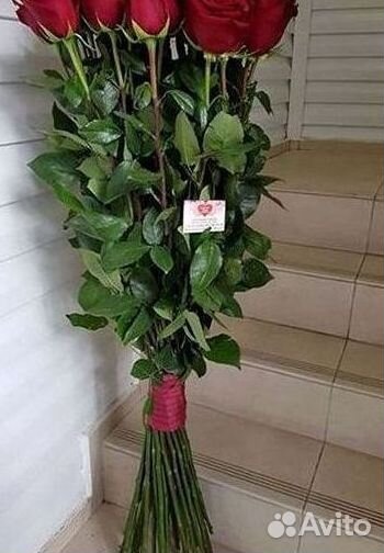 Розы Цветы Букеты 25 151 201 101 301 501 опт