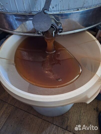 Мёд цветочный 2024