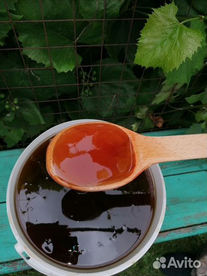 Мед 2023 года оптом