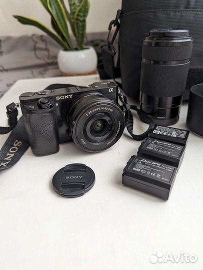 Sony A6000 + Sony E 16-50 + Sony E 55-210