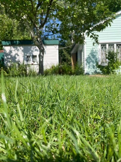 Дача 52 м² на участке 8 сот.