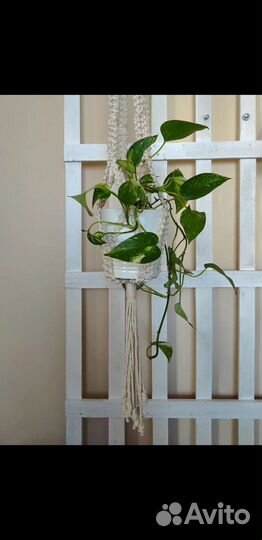 Кашпо подвесное макраме