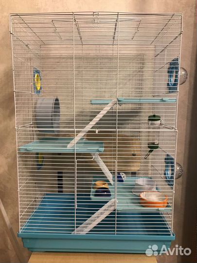 Клетки для грызунов