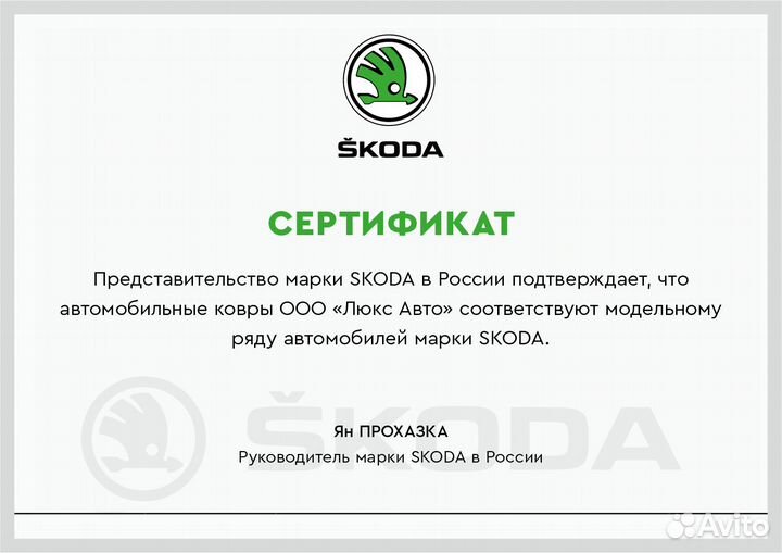 3D Коврики Skoda Салон Багажник Экокожа