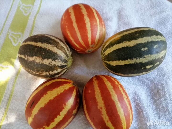 Мини Дынька семена